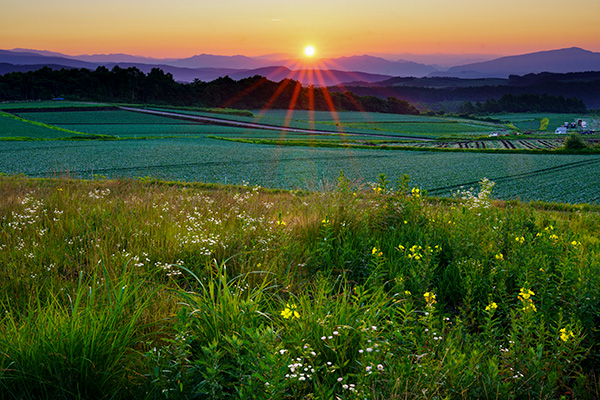萩原れいこ・作品