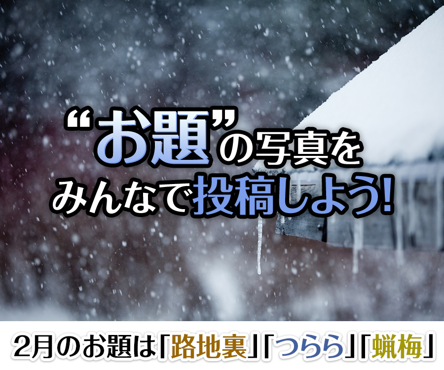 “お題”の写真をみんなで投稿しよう！