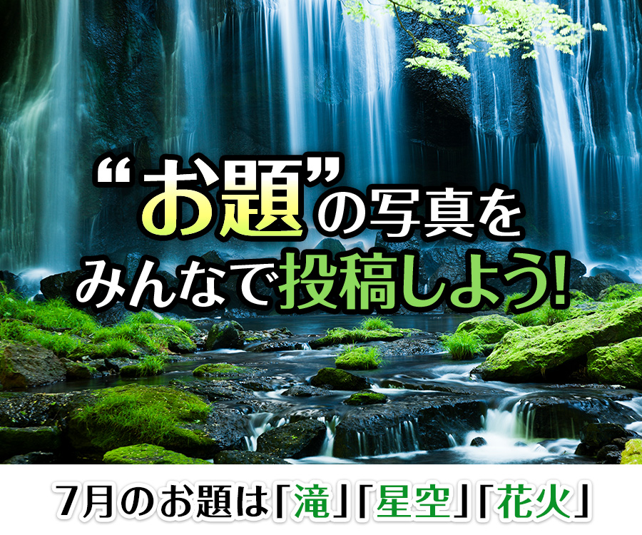 “お題”の写真をみんなで投稿しよう！