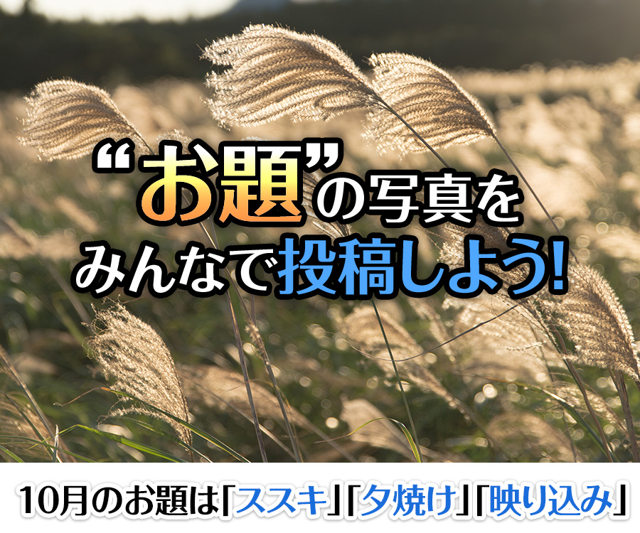 “お題”の写真をみんなで投稿しよう！