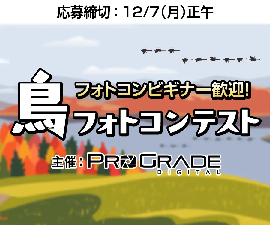 プログレードデジタル 鳥フォトコンテスト