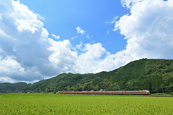 伯備線_黒坂－根雨_381系国鉄色やくも