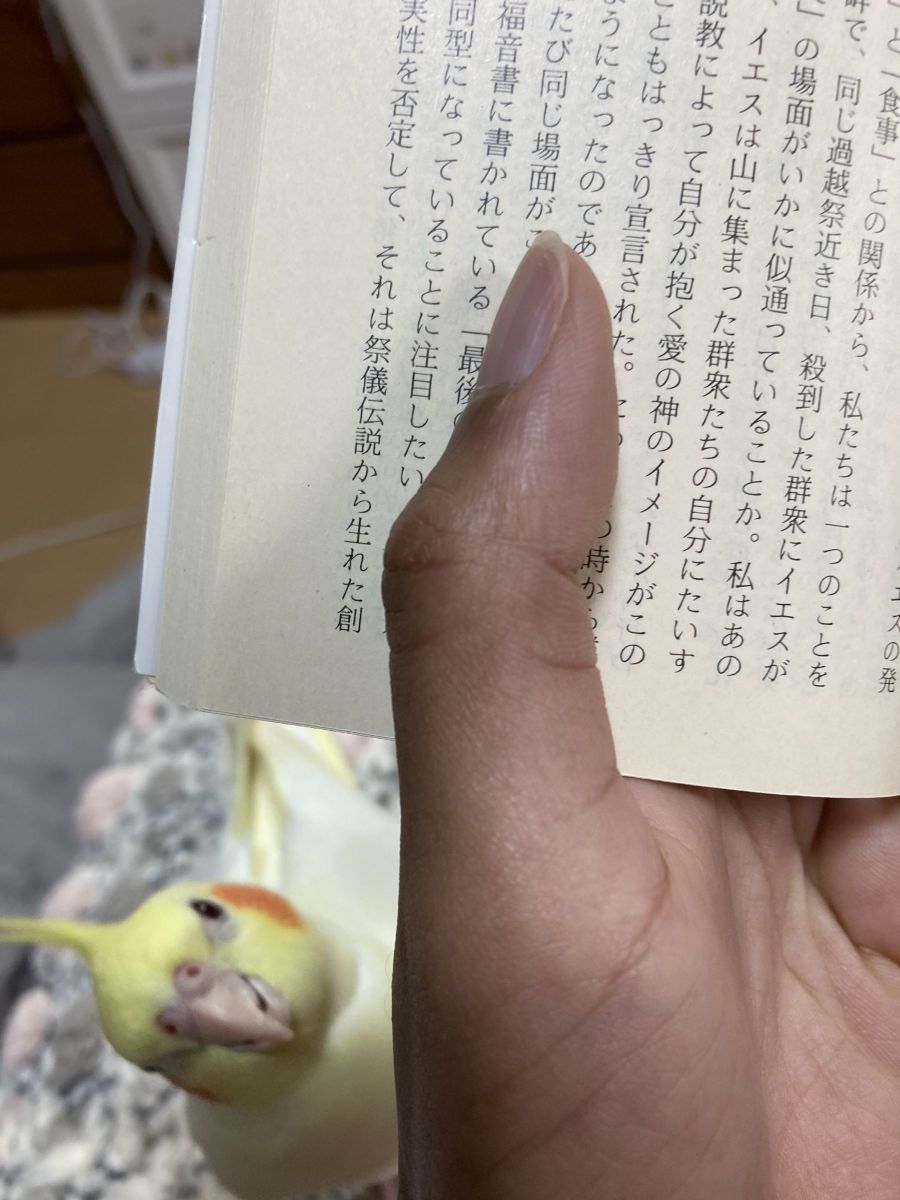 読み聞かせ