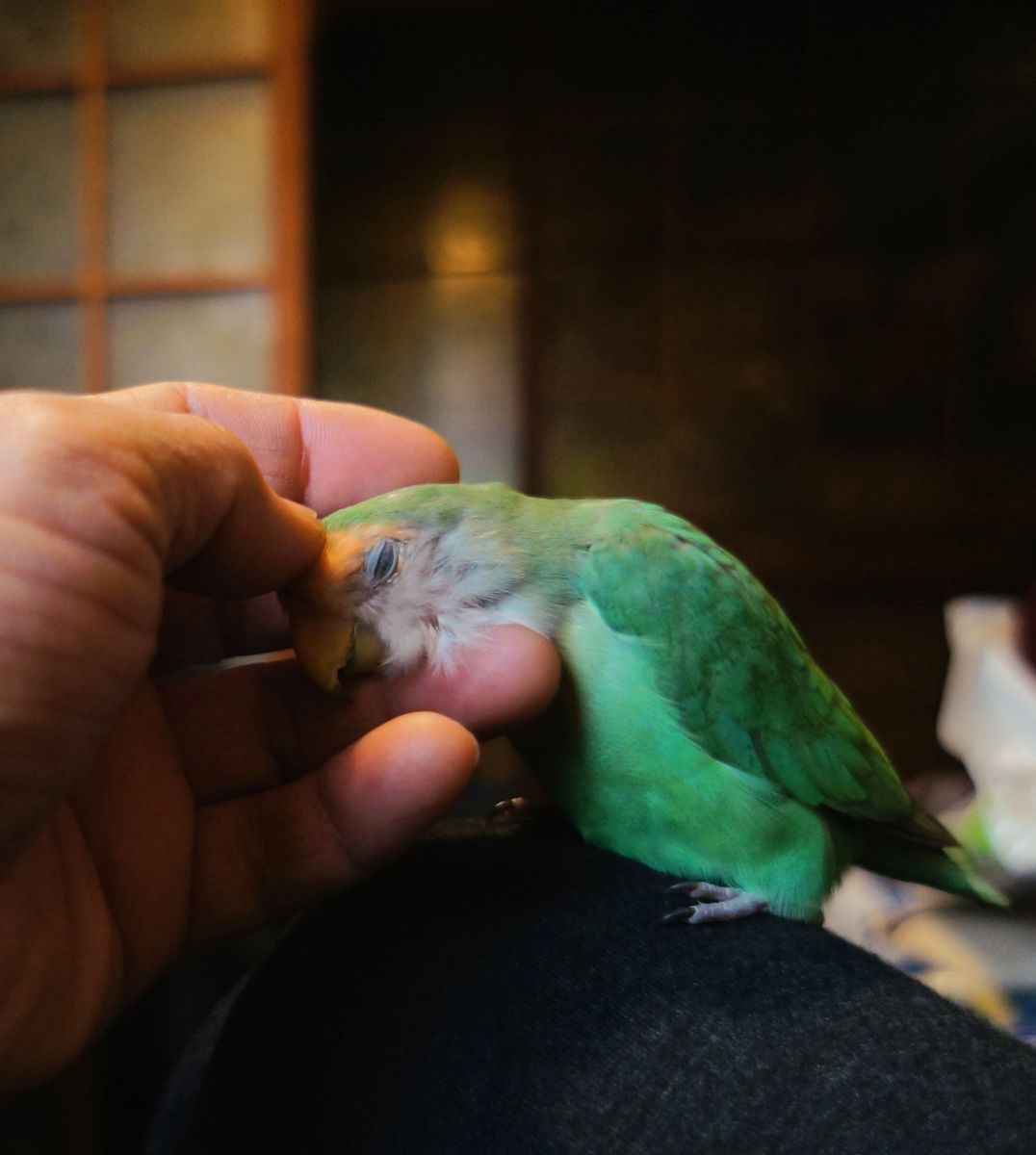 も少し右で。
