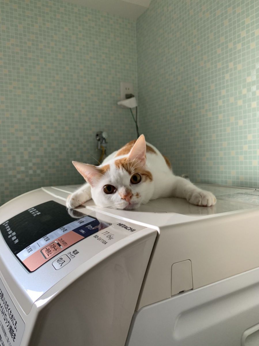 あったかぁい
