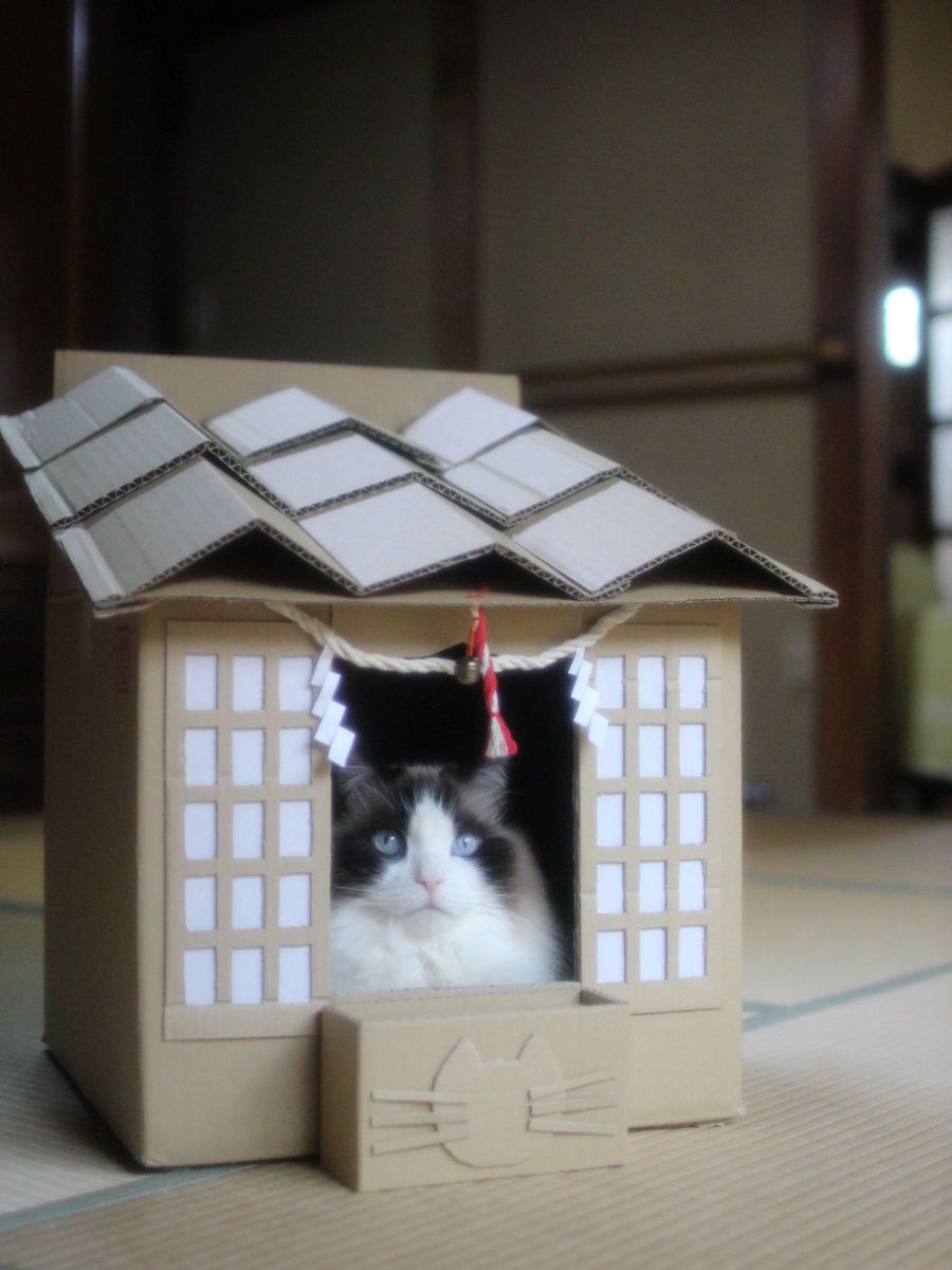 猫神社