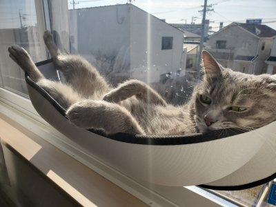まるでお風呂