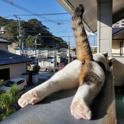 ぼくのおちり