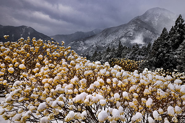 大坪邦仁先生が撮影した写真2
