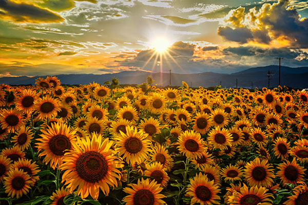 大坪邦仁先生が撮影した写真3