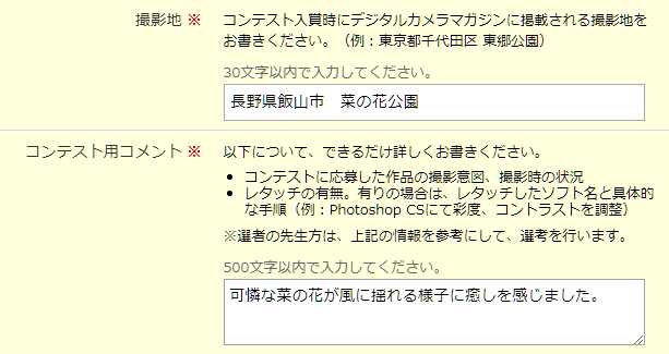 記入イメージ