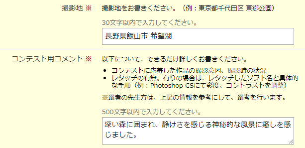 記入イメージ