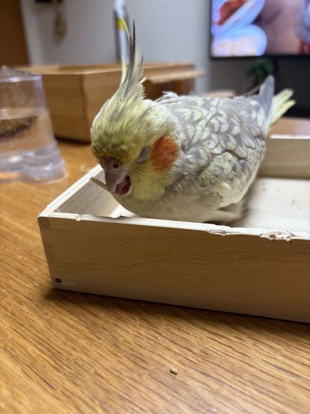 工事中