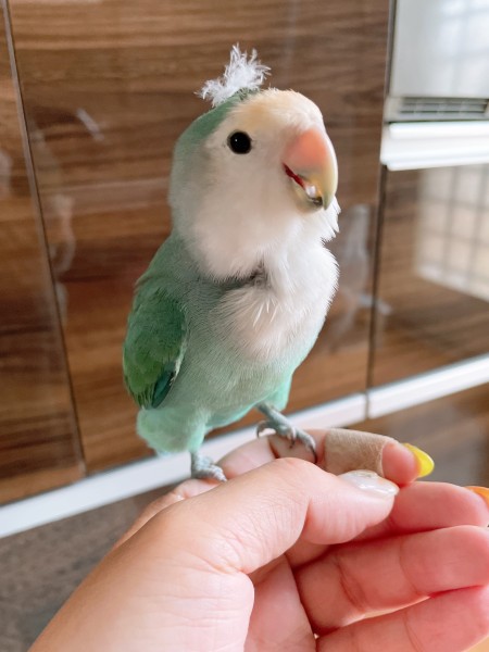 ララんぼの毎日