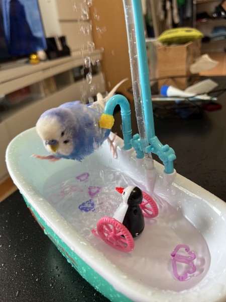水遊びが楽しすぎてダイブしているところ