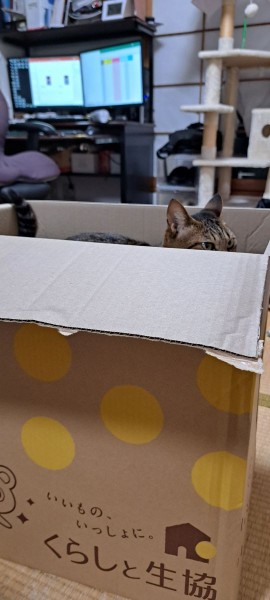 新たな寝床