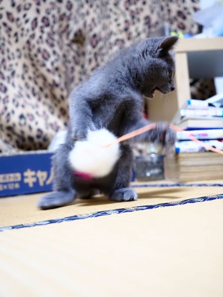 イエーイ‼️