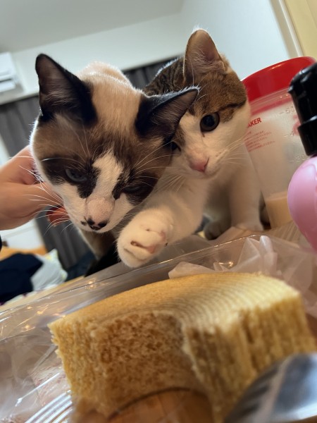 あともうちょっと…！！！