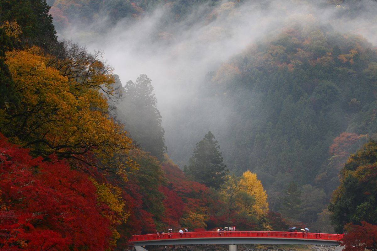 香嵐渓（愛知県）