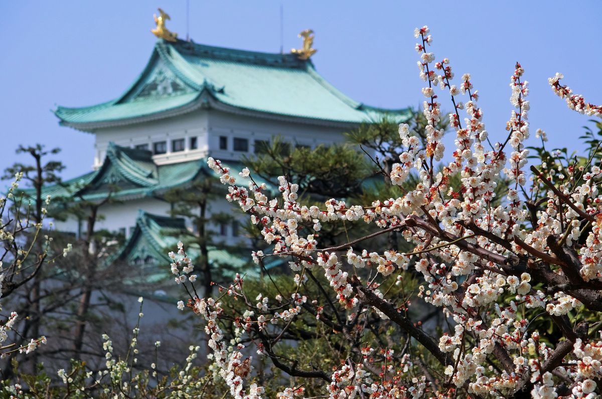 名古屋城（愛知県）