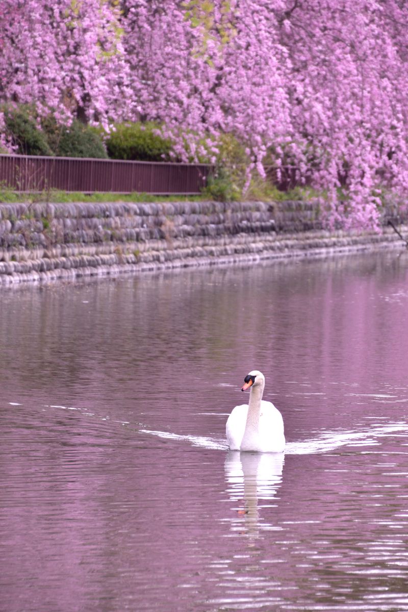 名城公園