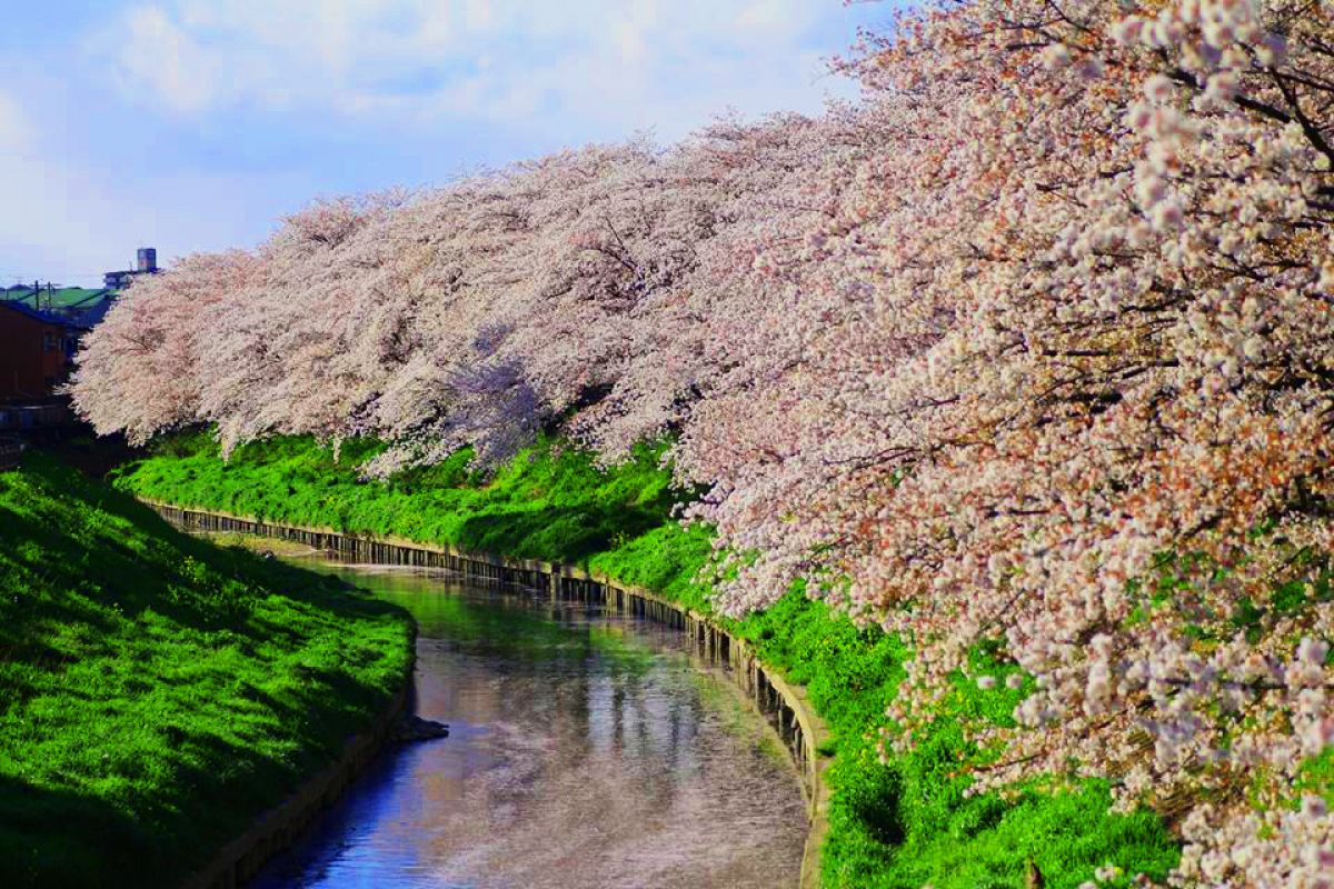 五条川（愛知県）