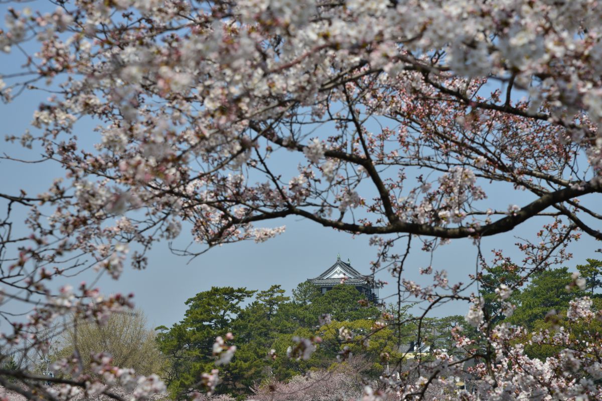 岡崎城