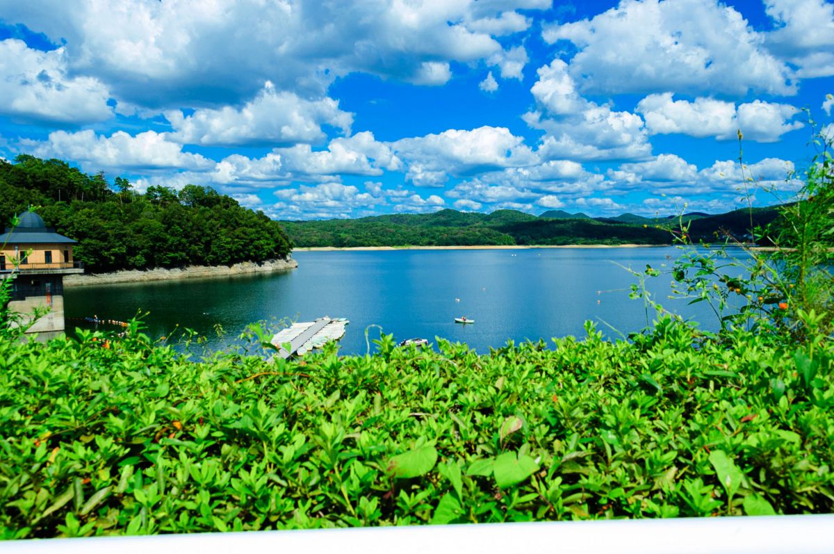 入鹿池（愛知県）