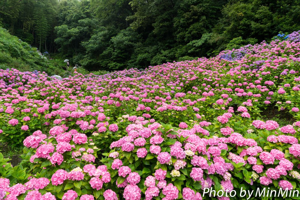 形原温泉（愛知県）