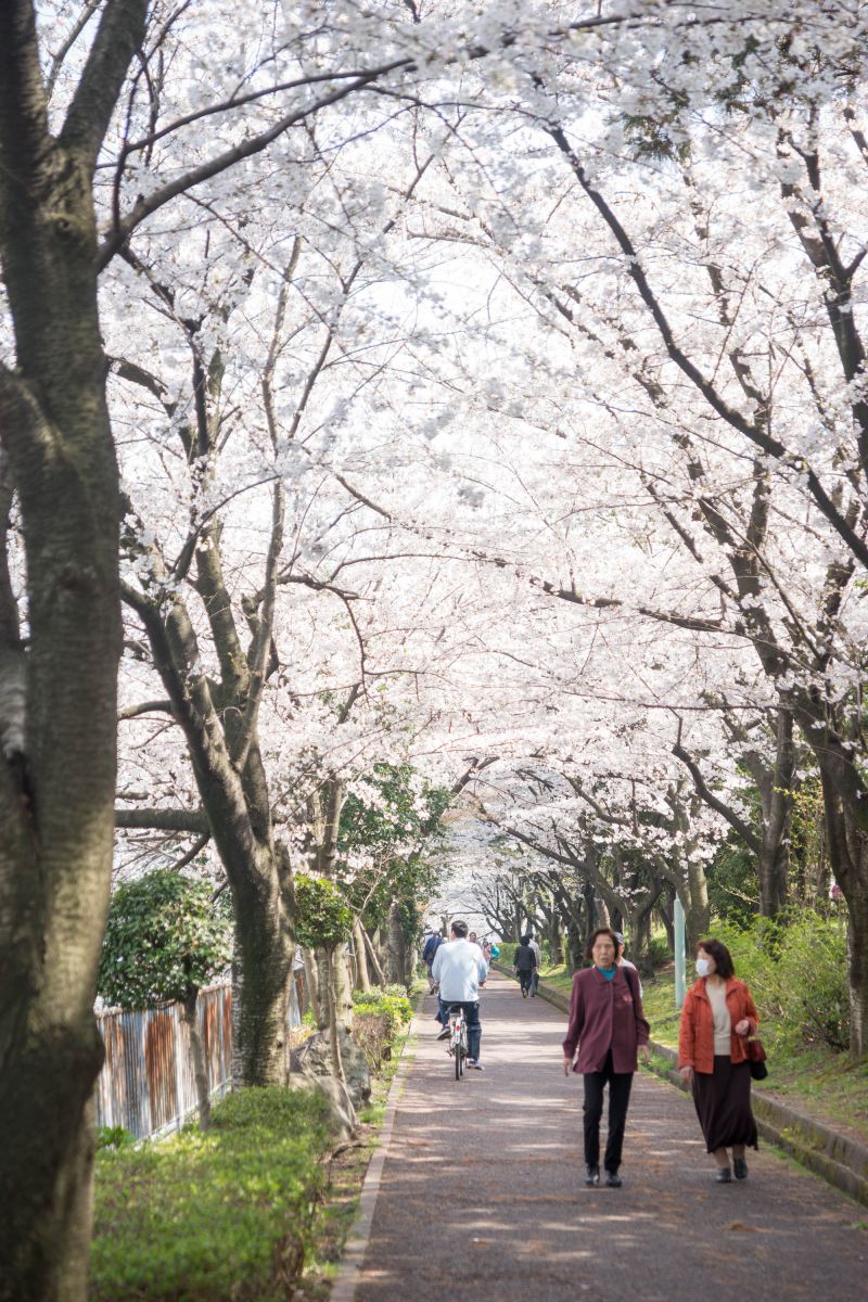 荒子川公園（愛知県）