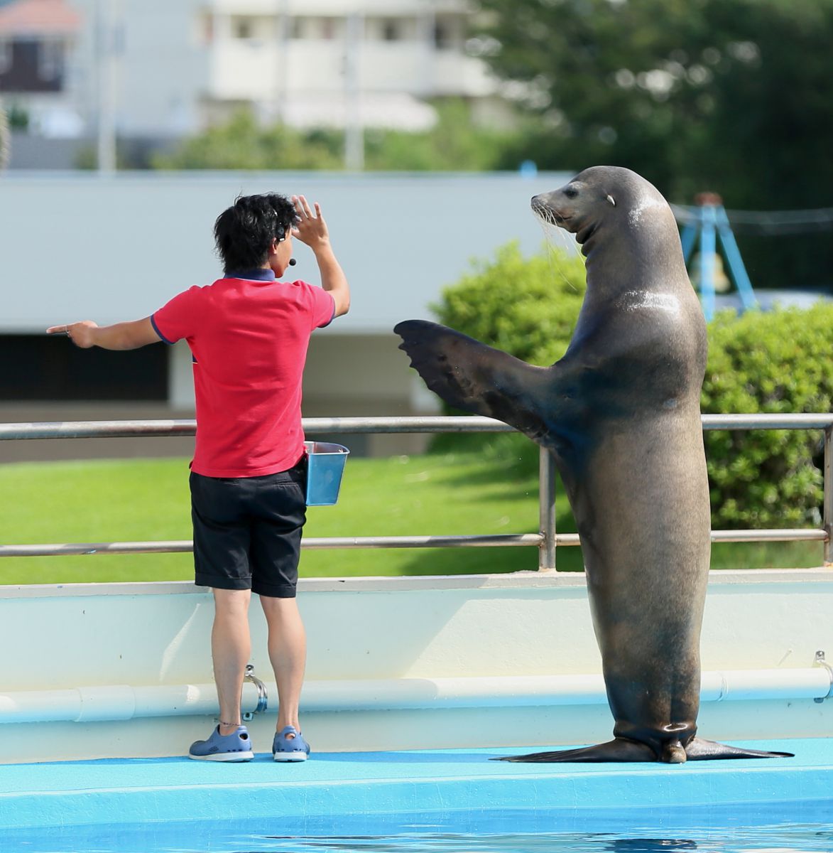 南知多ビーチランド（愛知県）