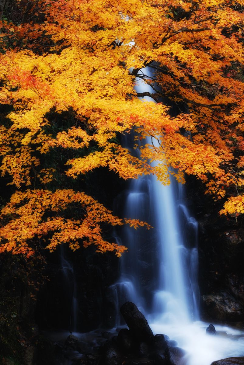 大井平公園（愛知県）