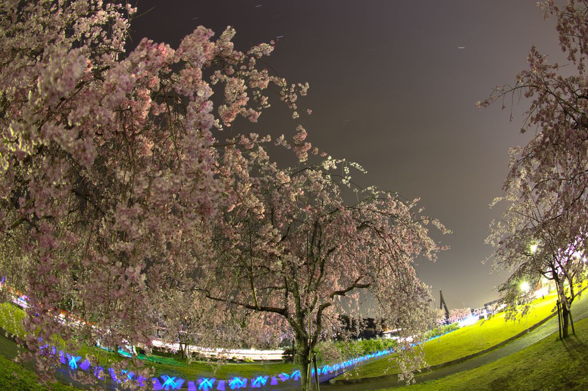 水源公園