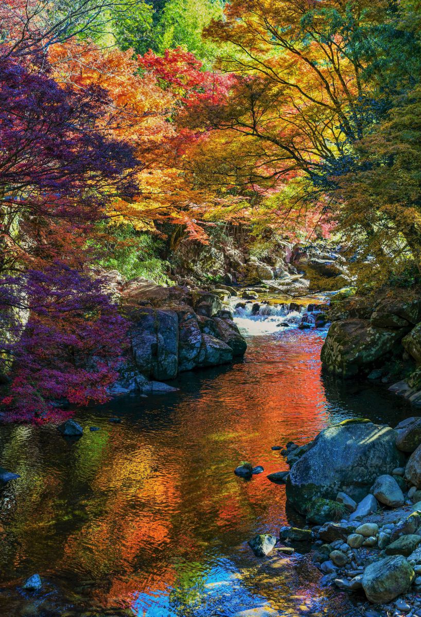 神越渓谷（愛知県）