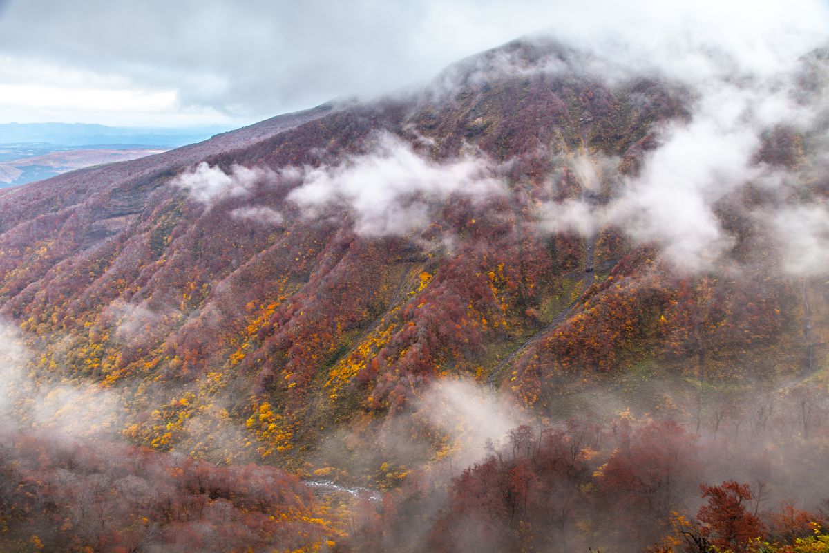 秋田　鳥海山