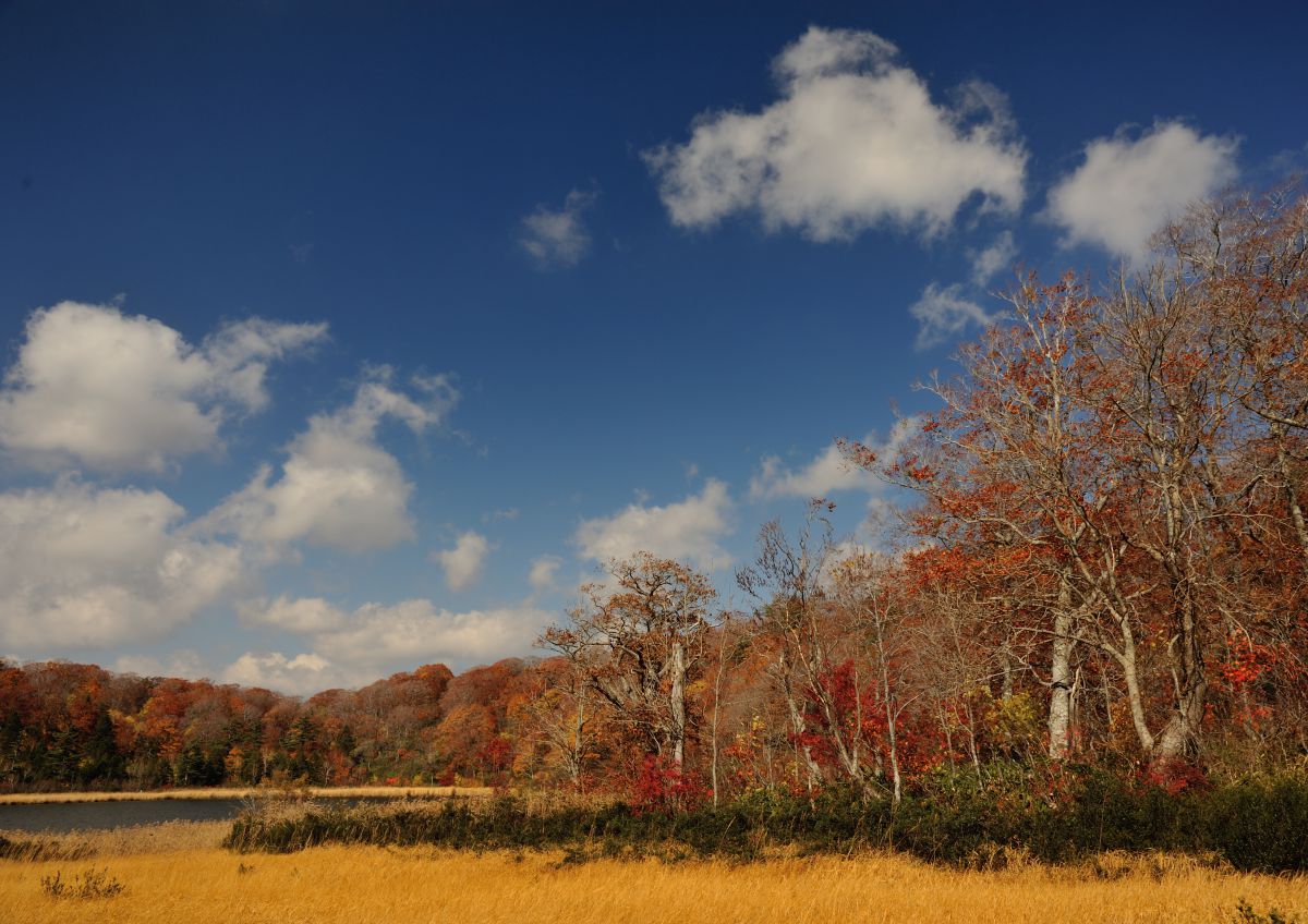 八幡平大沼（秋田県）