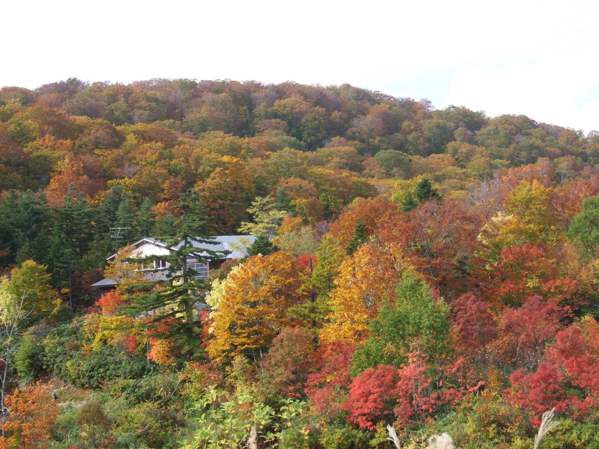 後生掛（秋田県）