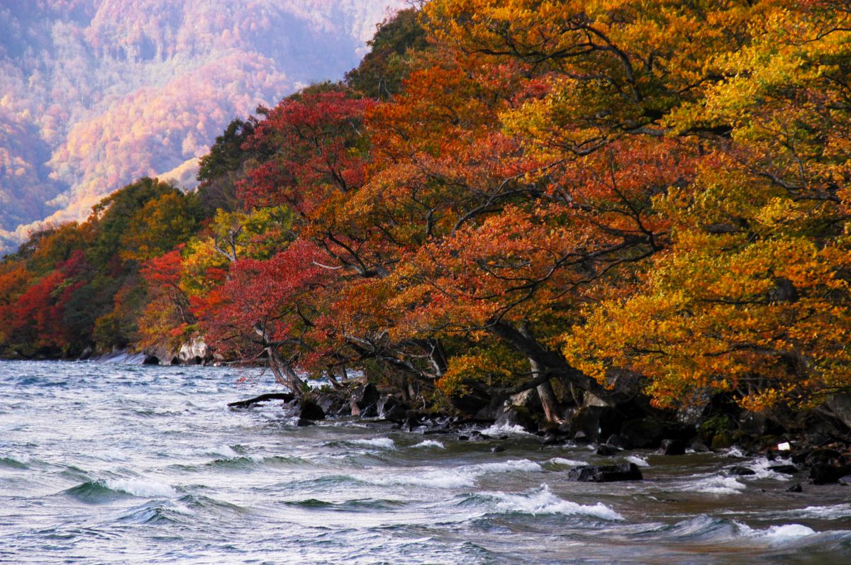 十和田湖