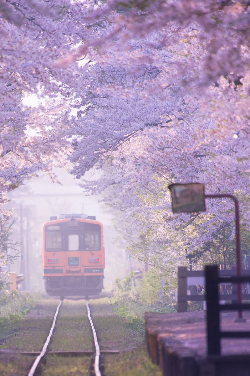 津軽鉄道（青森県）