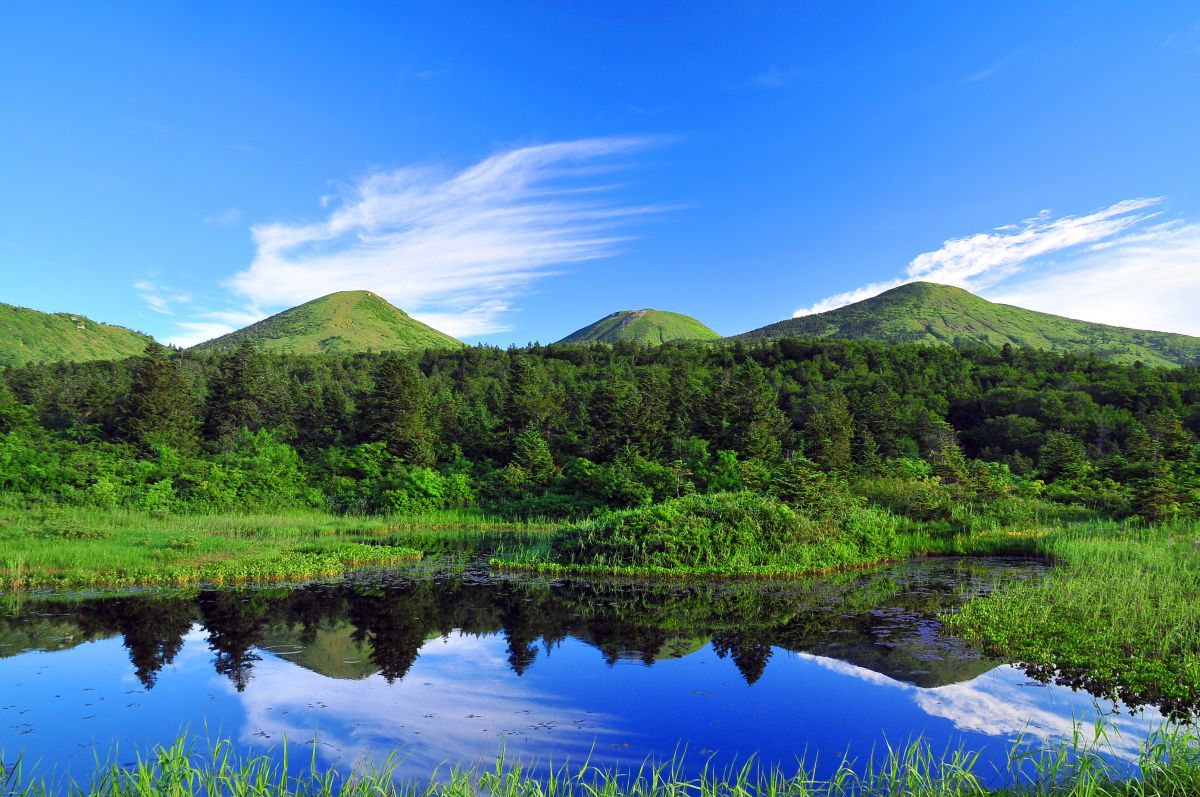 睡蓮沼（青森県）