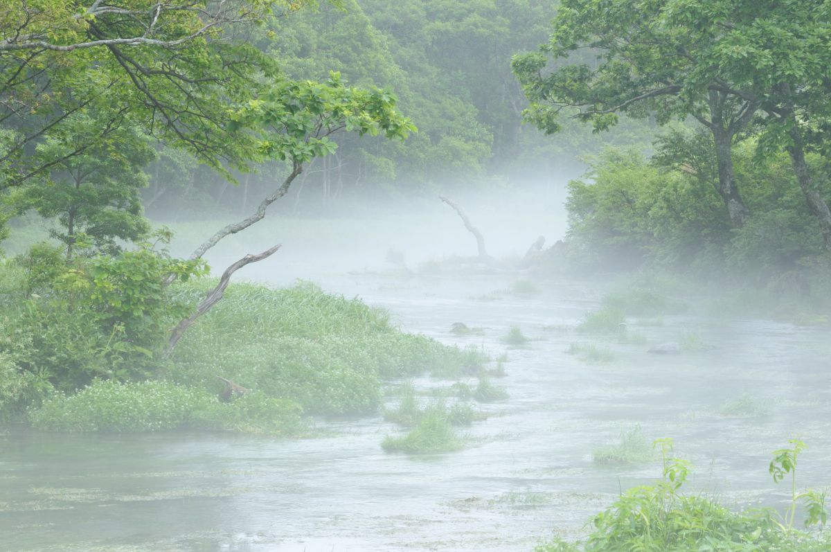 グダリ沼（青森県）