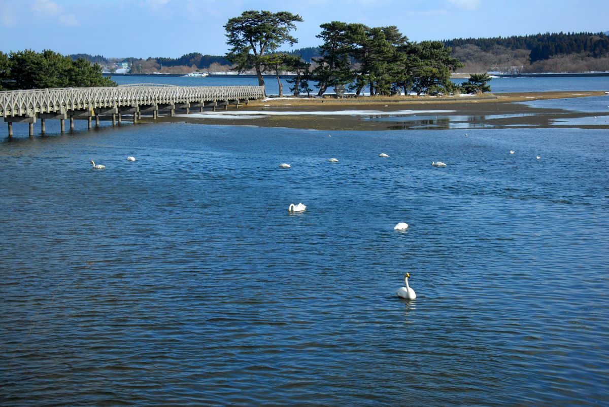 浅所海岸