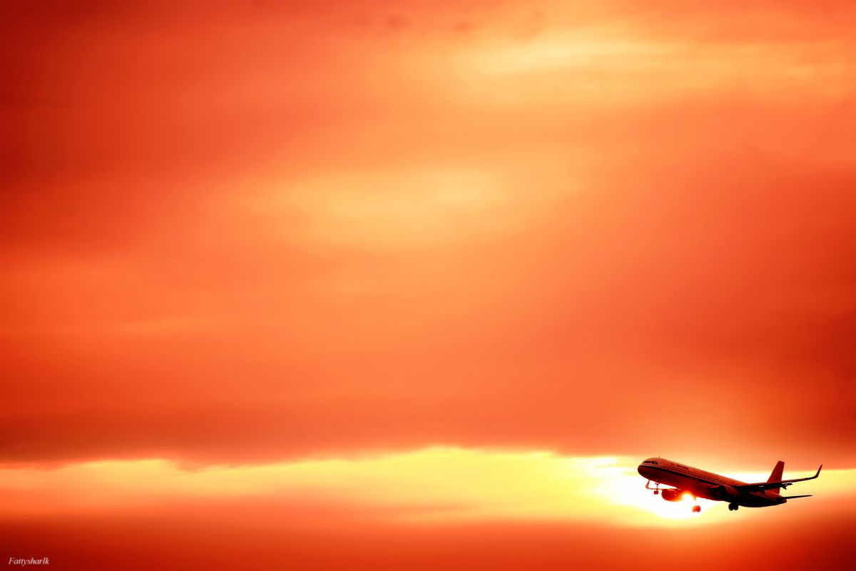 成田空港