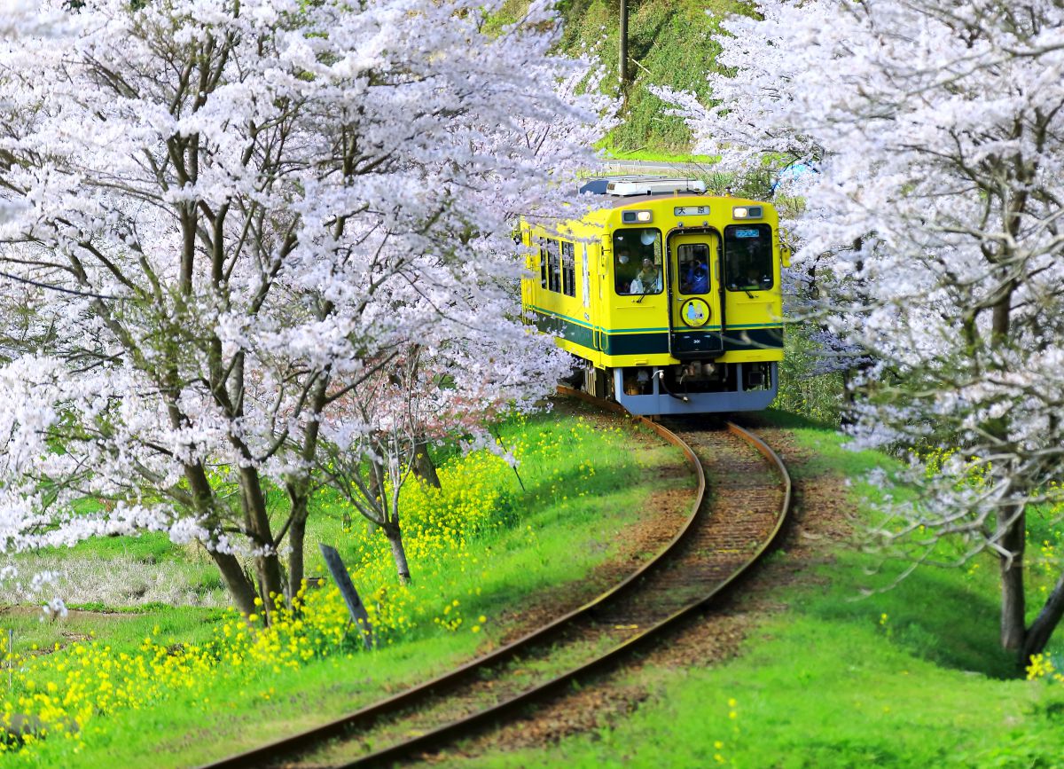 いすみ鉄道（千葉県）