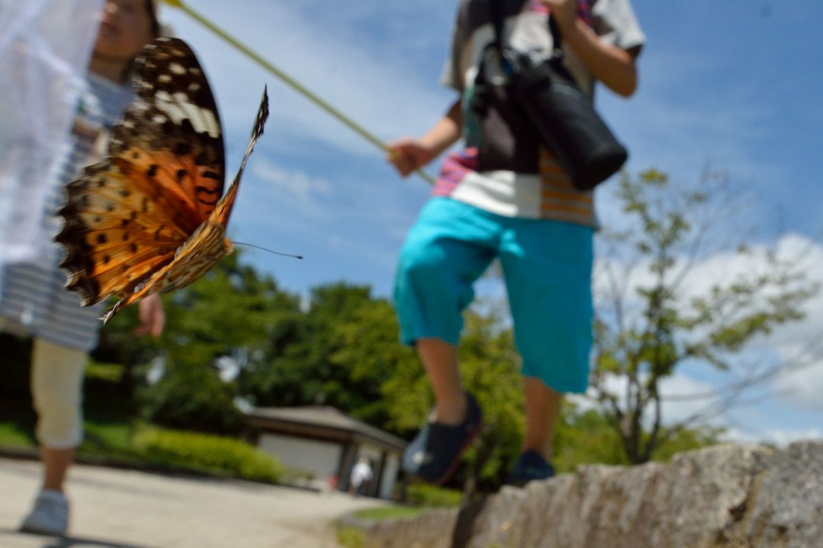 21世紀の森と広場（千葉県）