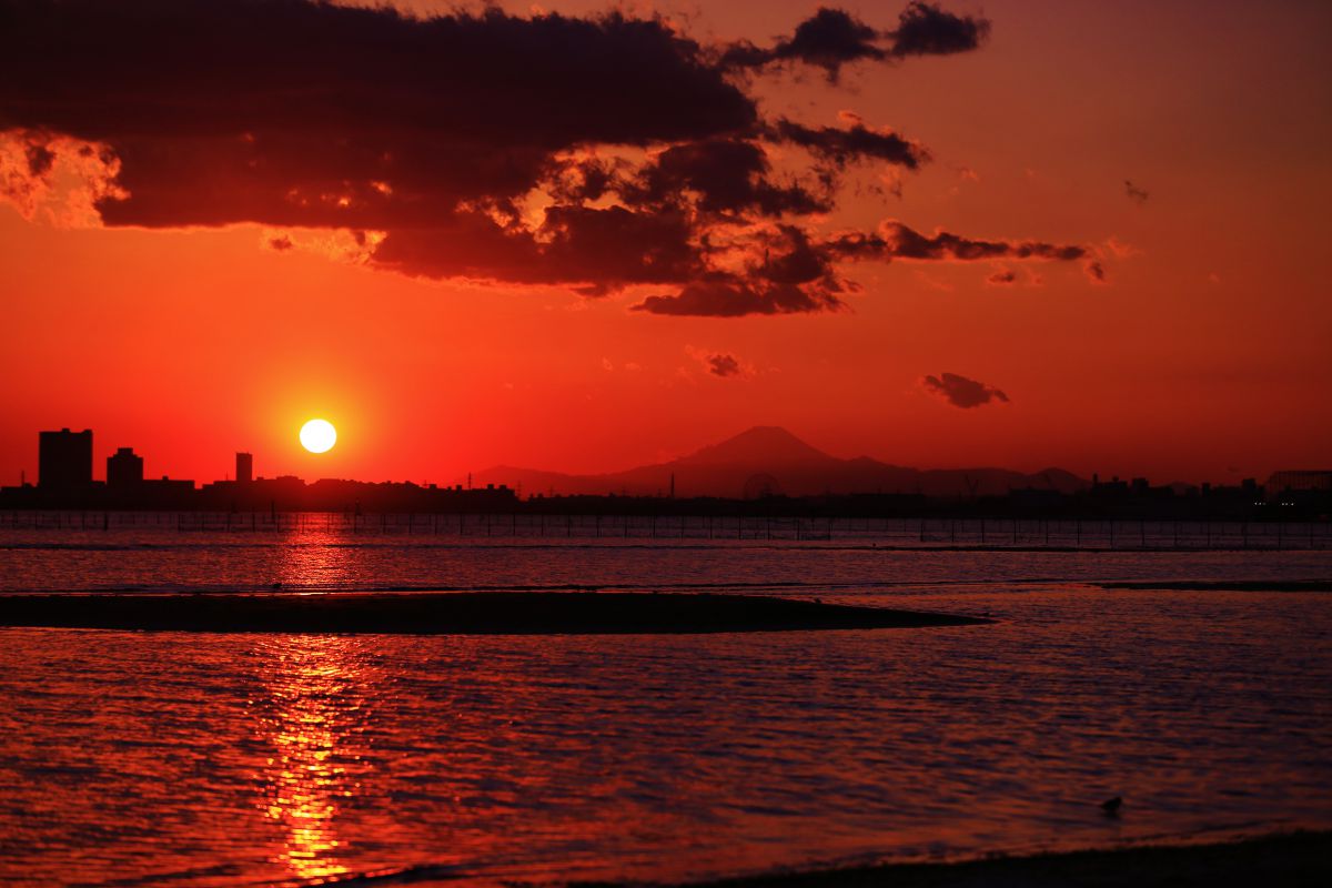 三番瀬海浜公園（千葉県）