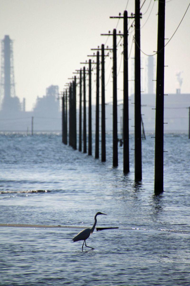 江川海岸