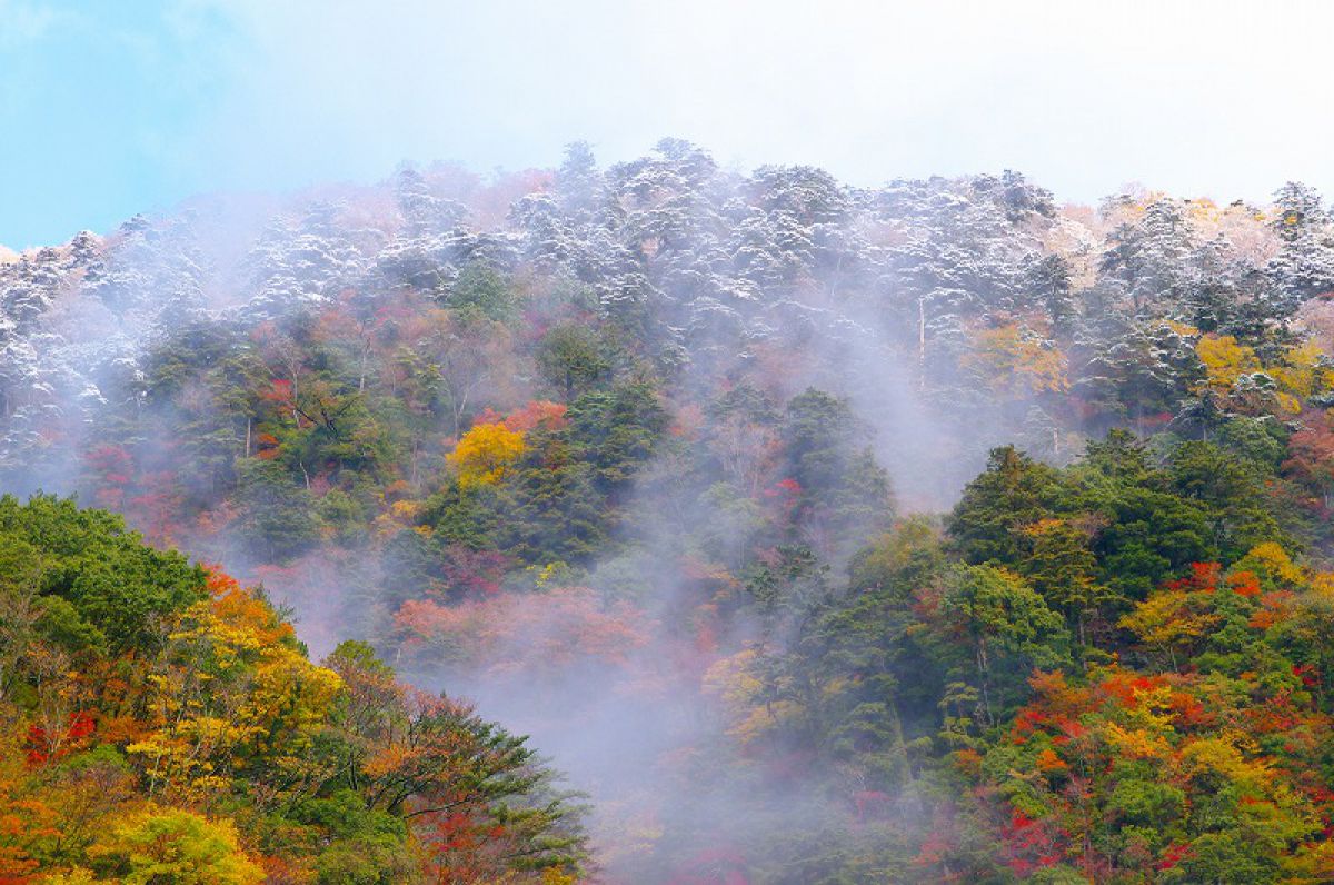 石鎚山