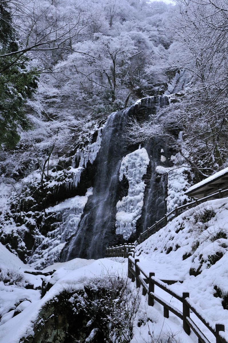 白猪の滝