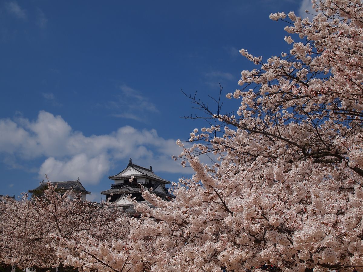 愛媛　松山城